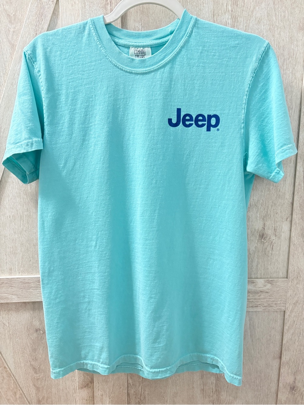 Comfort Colors Jeep Dog Graphic T-Shirt Aqua Blue | Small